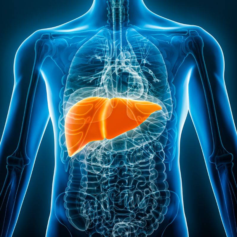 surgical exposure in liver surgery