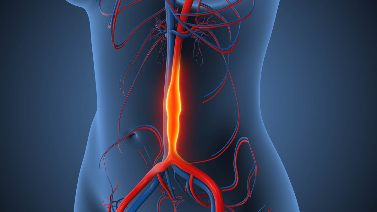 What’s New in Thoracoabdominal Aortic Repair – Thompson Surgical