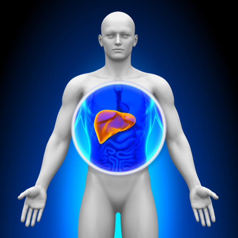 Table-Mounted Retractor  Sets for Liver Resection