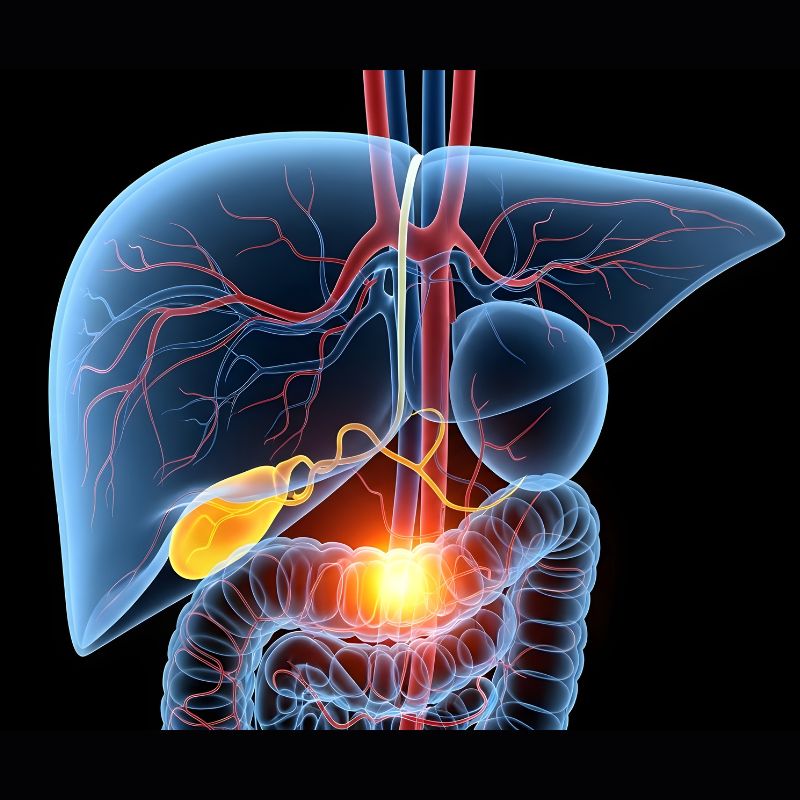 Maintain Stable Exposure in Complex Open Liver Cases
