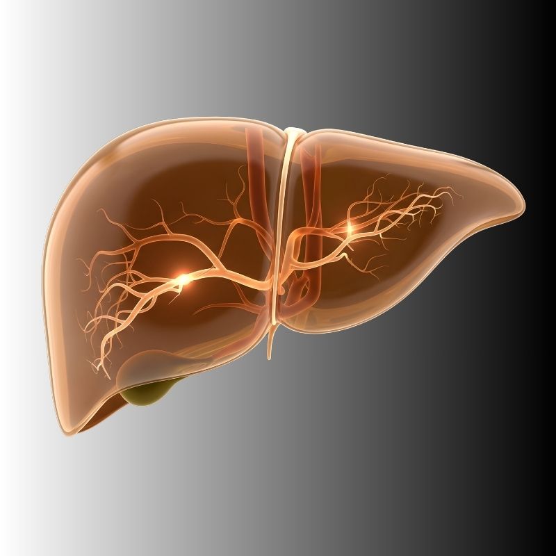 Retractor systems for pancreaticoduodenectomy