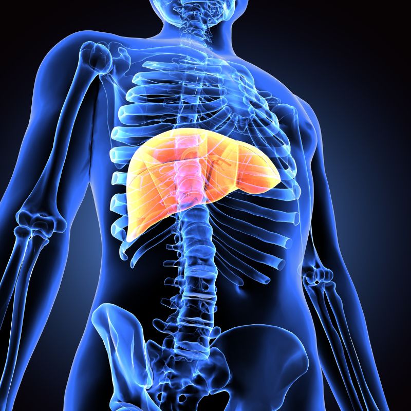  liver transplant equipment