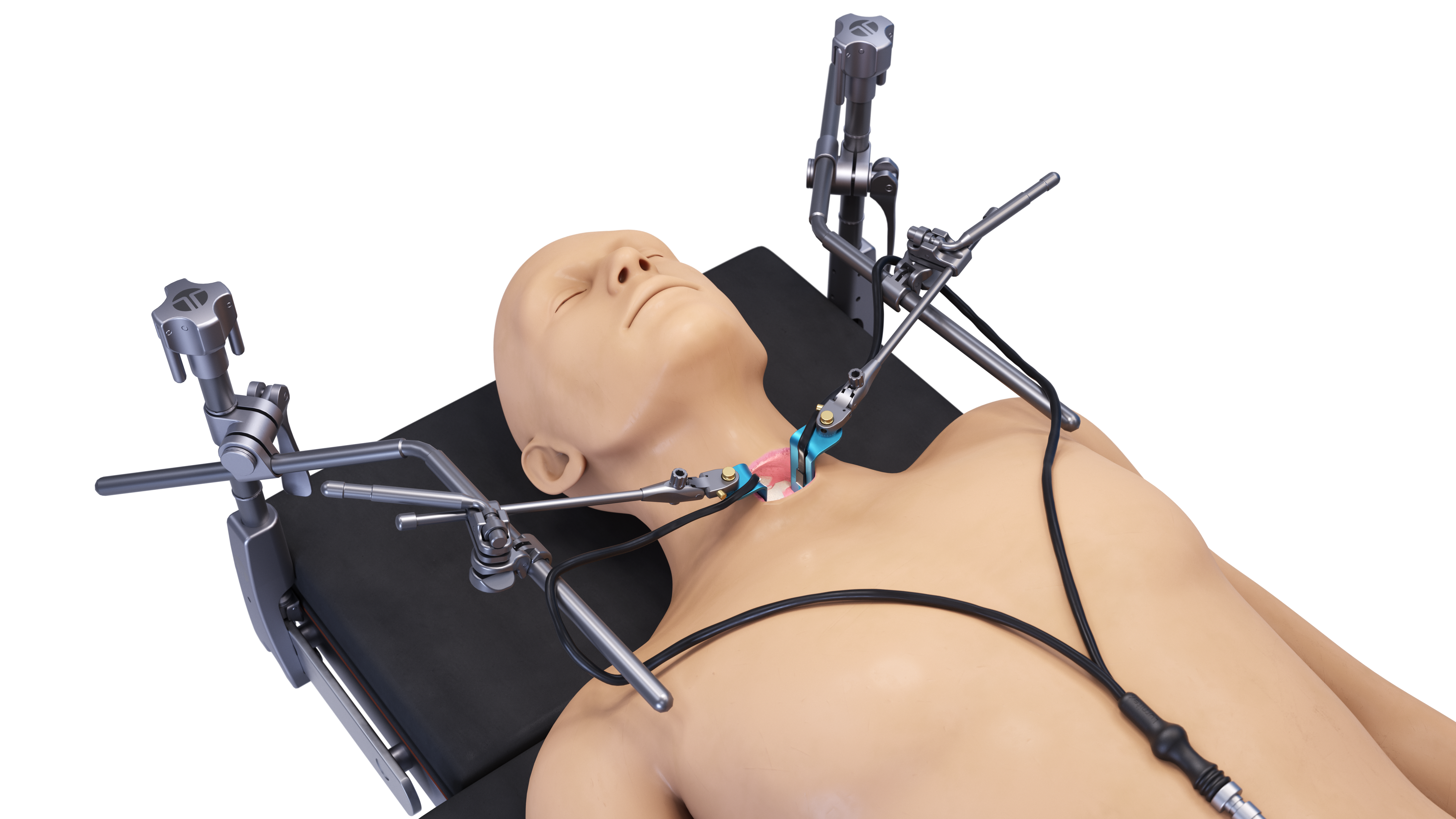 Cervical System With LitePath